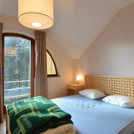Modern Holiday Home In Salmchateau With Terrace And Garden Salmchâteau