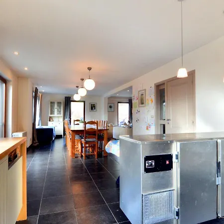 Modern Holiday Home In Salmchateau With Terrace And Garden Salmchâteau